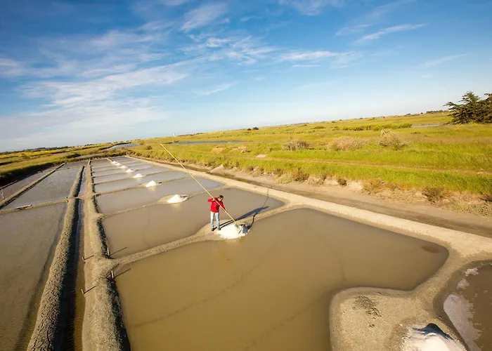 Jolie Maison Pour 8 - 400m De La - Terrasse * La Guérinière
