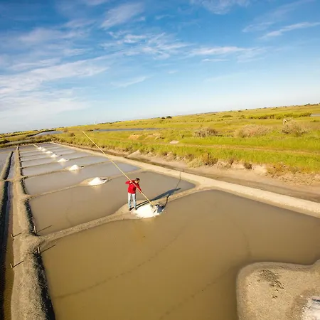 Jolie Maison Pour 8 - 400m De La - Terrasse * La Guérinière